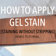 Gel Stain Video Tutorial (Staining without Stripping)